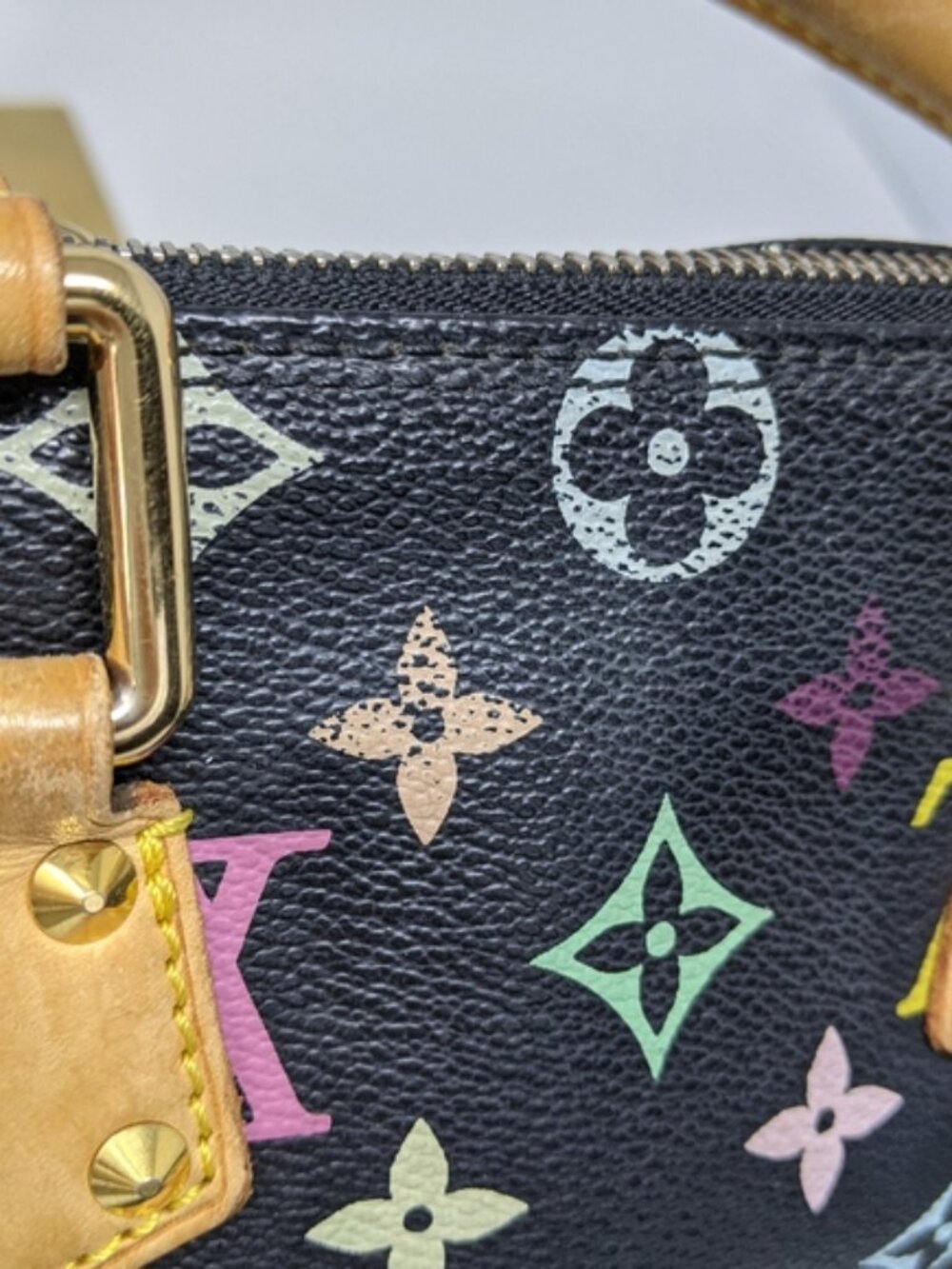 LOUIS VUITTON Multicolor Speedy 30 Tote Bag - Picture 7 of 16